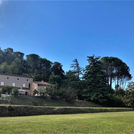 Villa Viola Lucca Exterior foto